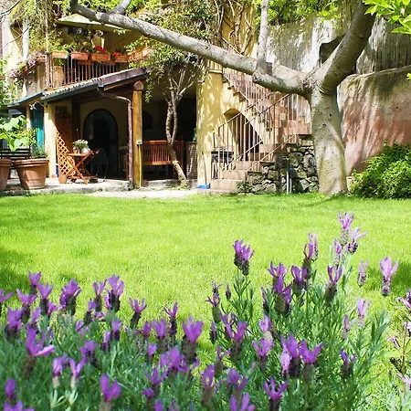 The Garden Catane