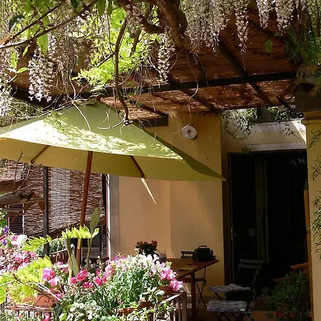 The Garden Catânia