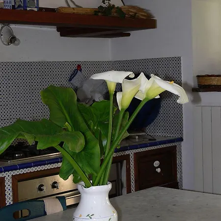 The Garden Bed & Breakfast Catania