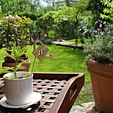 The Garden Bed & Breakfast 4*