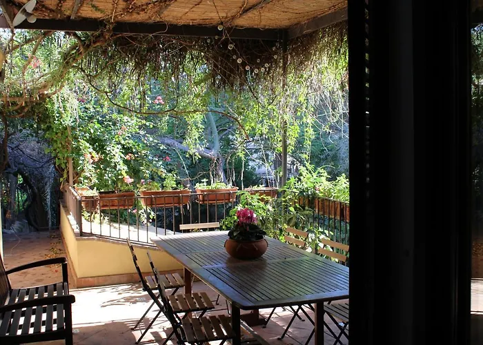 The Garden