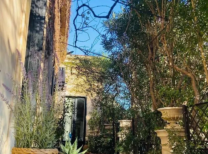 The Garden 3* Катания