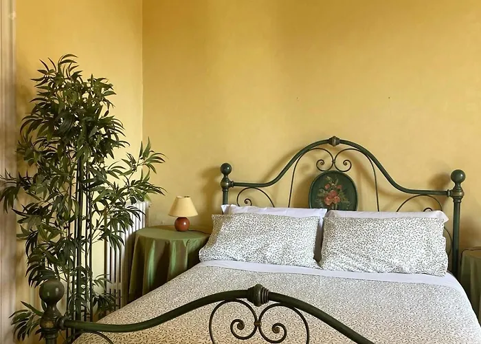 The Garden 3* Катания