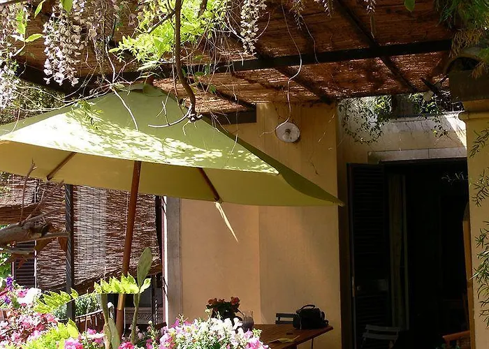 The Garden Катания