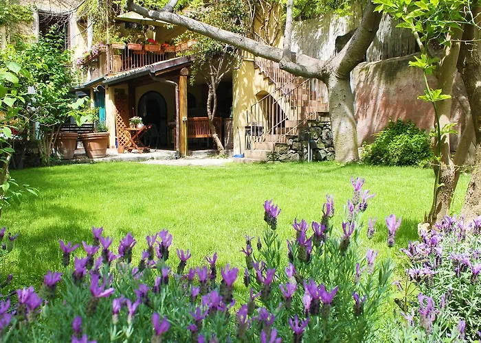 The Garden Катания