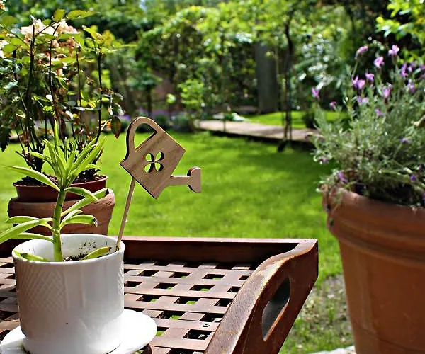 The Garden Отель типа 