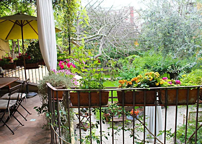The Garden 3* Катания