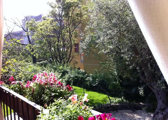 The Garden 3* Катания